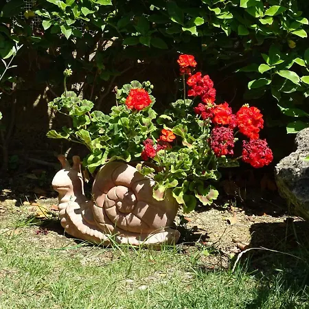 Bed & Breakfast La Dolce